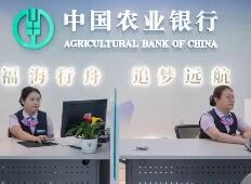 医药、农林牧渔等板块因集采政策和业绩压力